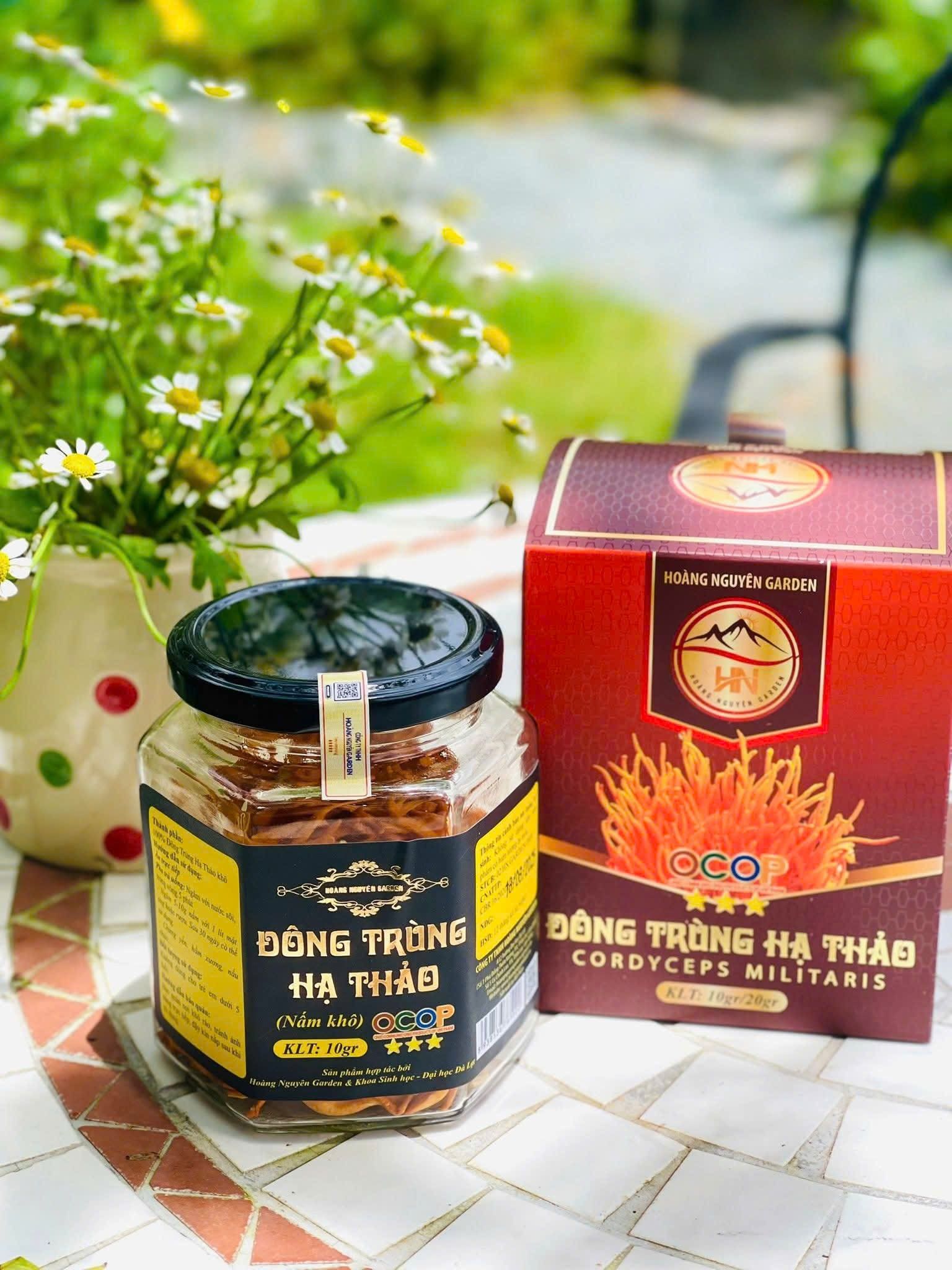 Đông Trùng Hạ Thảo Nấm Khô Đà Lạt 10g - Yến Sào Plaza