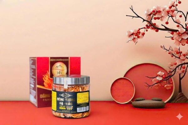 Đông Trùng Hạ Thảo Nấm Khô Đà Lạt 30gram - Yến Sào Plaza