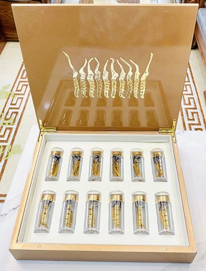 Đông Trùng Hạ Thảo Tây Tạng – 10g (45 Con) – Yến Sào Plaza